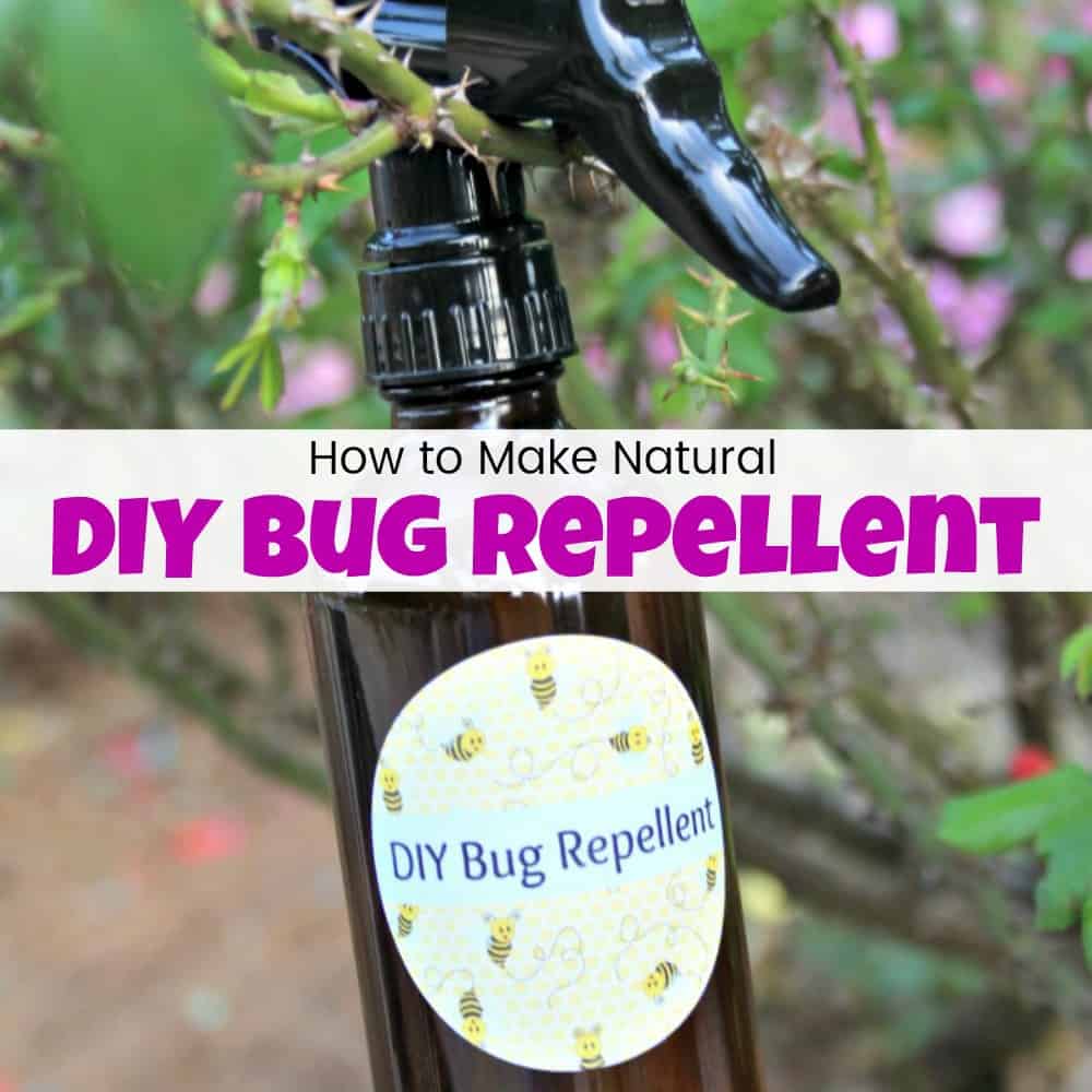 How To Make Diy Bug Repellent Spray To Keep The Bugs Away
