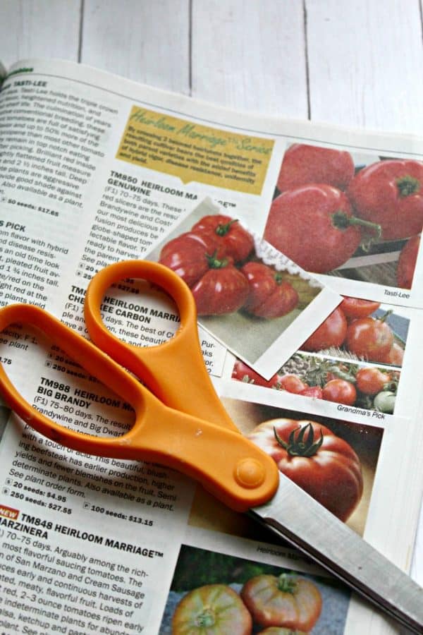 How to Make Beautiful DIY Garden Markers for Your Herbs & Veggies