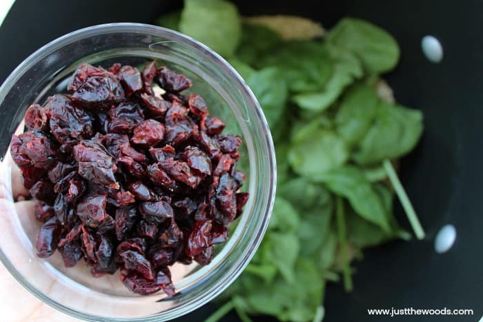 dried cranberries, spinach salad recipe with dried cranberries, quinoa and dried cranberries