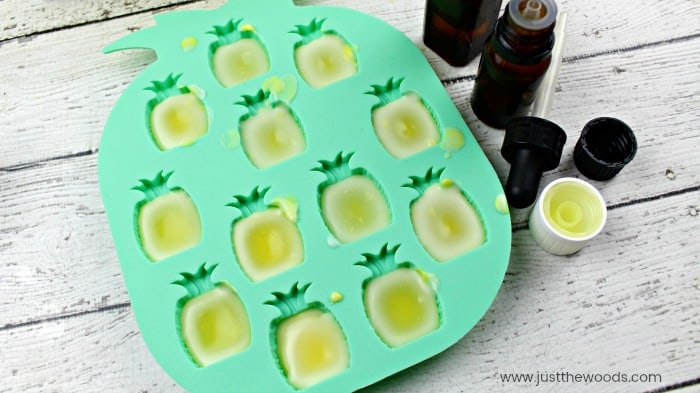 lotion bar molds, pineapple molds, soap mold, lotion molds, diy lotion bars