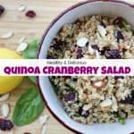 The Most Delicious and Healthy Quinoa Cranberry Salad