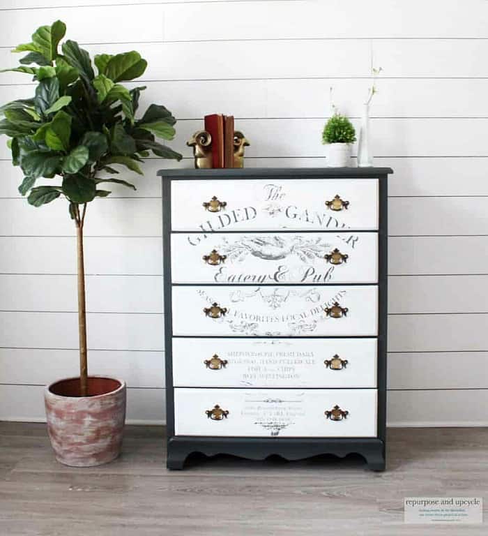 20+ Image Transfer Ideas & Tutorials That Will Make You Drool gilded gander image, image transfer on dresser, black and white dresser, image transfer on wood