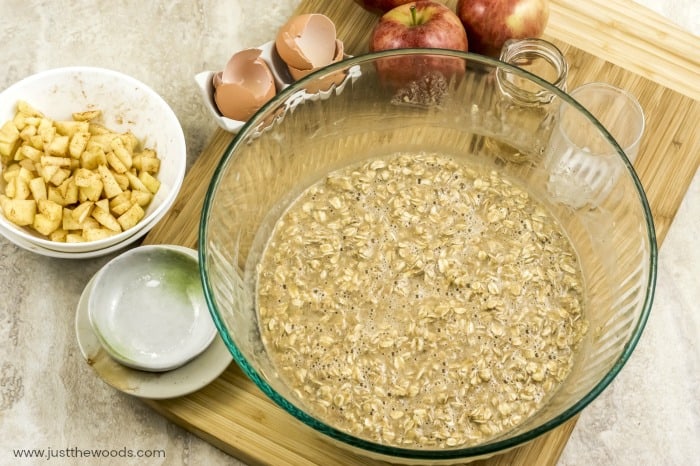 oat muffins, breakfast muffins, oatmeal muffins, healthy oat muffins