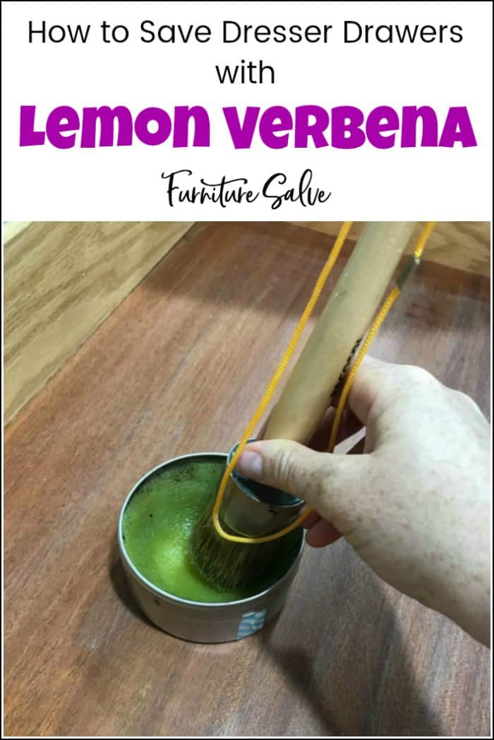 See how to use lemon verbena furniture salve to save dresser drawers, preserve & refresh wood. Save time and money on your next project with lemon verbena. Wise Owl lemon verbena furniture salve for conditioning wood and saving furniture. #lemonverbena #wiseowlverbena #lemonverbenasalve #furnituresalve #howtopreservewood #restorewooddrawers #lemonverbenawiseowl