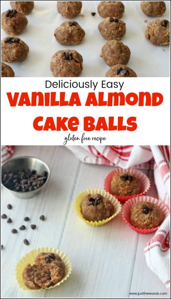 How to Make Delicious & Easy Almond Vanilla Cake Balls