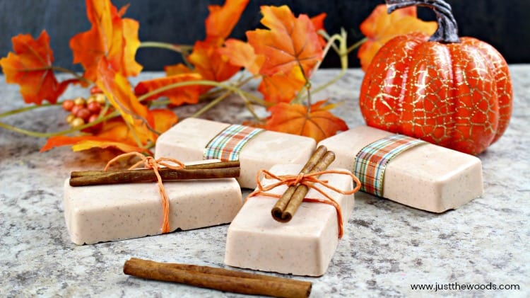 diy soap bars, cinnamon wrapped diy soap, pumpkin soap