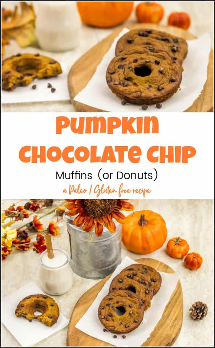 Fill the kitchen with the aroma of pumpkin with these healthy pumpkin chocolate chip muffins. You can use this healthy pumpkin muffin recipe to make donuts. #pumpkinchocolatechipmuffins #pumpkindonuts #chocolatechippumpkinmuffins #glutenfreedonuts #healthypumpkinmuffins