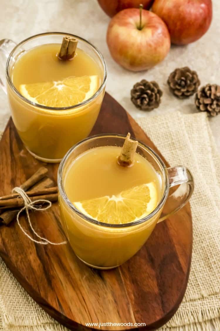 hot apple cider recipe, mulled apple cider, apple cider with oranges, hot apple cider with cinnamon sticks