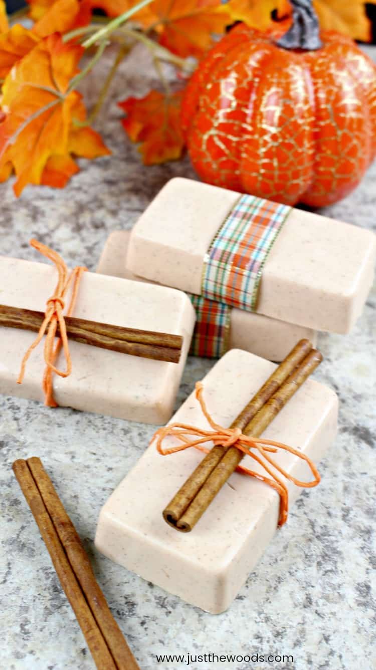 fall soap, autumn soap, pumpkin spice, cinnamon and pumpkin soap, diy soap