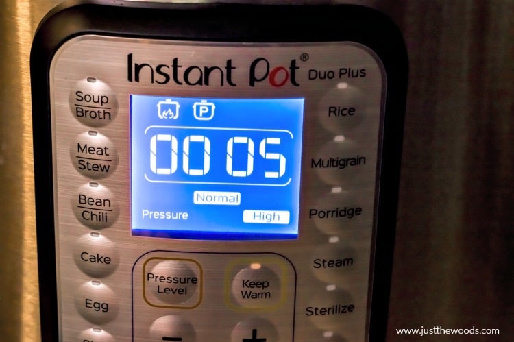 instant pot, instant pot recipes, recipes for instant pot, soup recipes for instant pot