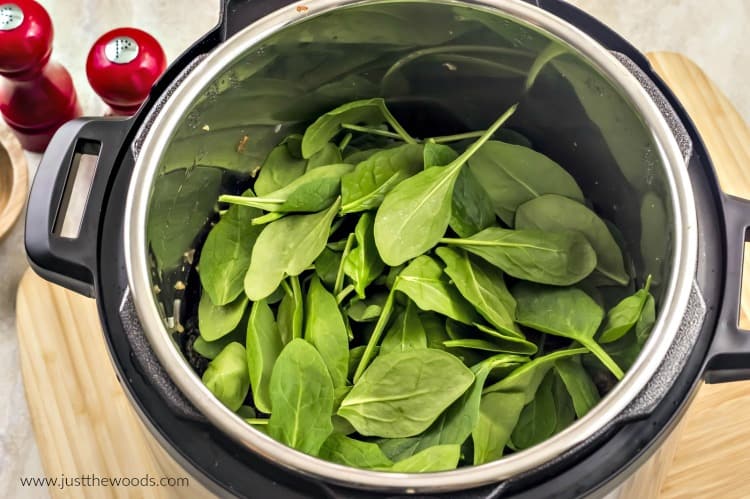 fresh spinach in instant pot, spinach soup, how to make spinach soup in instant pot