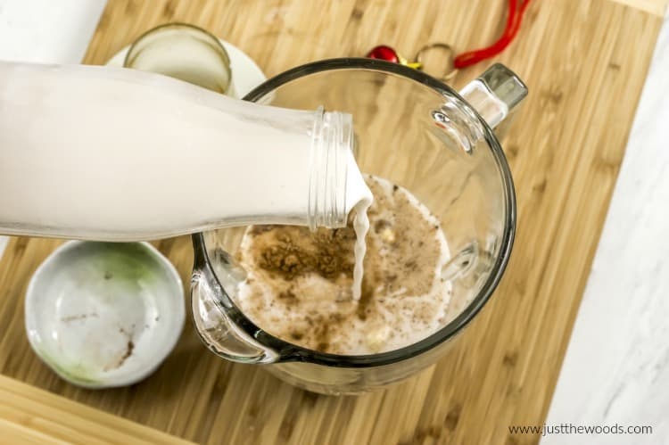 eggnog recipe, vegan eggnog, vegan eggnog recipe, coconut milk eggnog