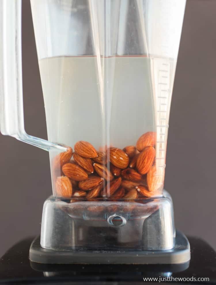 How to Make Almond Milk at Home almonds in water in blender, how to make almond milk, making almond milk from scratch
