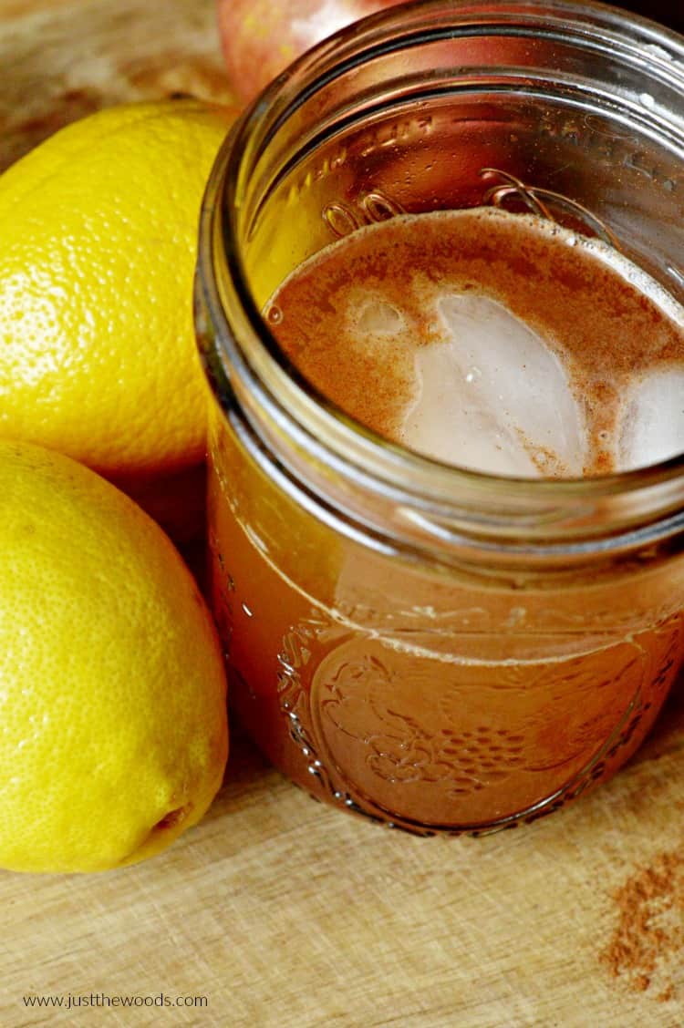 apple cider vinegar lemon, detox drink recipe, apple cider vinegar with honey