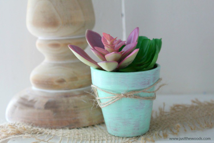 dollar store succulents, DIY Succulent Planter, diy succulent planter ideas