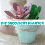 How to Make a Beautiful DIY Succulent Planter the Easy Way