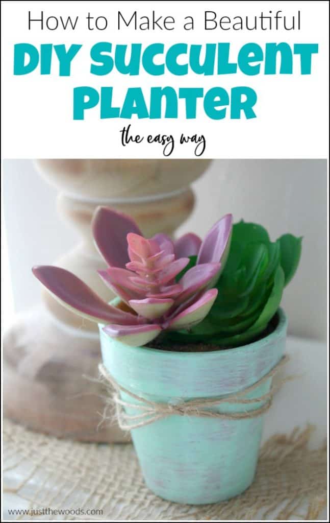 How to Make a Beautiful DIY Succulent Planter the Easy Way