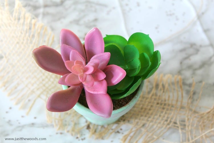 dollar store craft ideas, DIY Succulent Planter, faux succulents, fake succulent plant