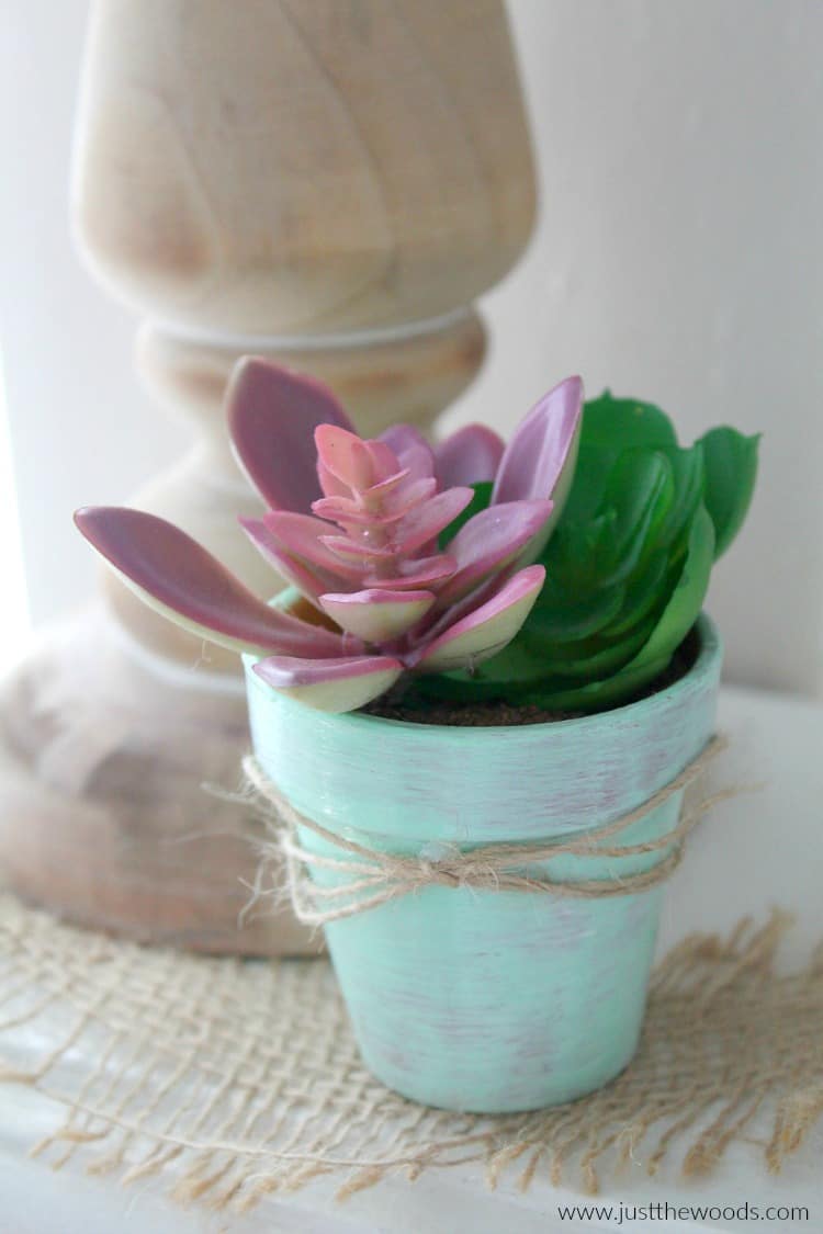 DIY Succulent Planter, succulent planters, succulent planter ideas