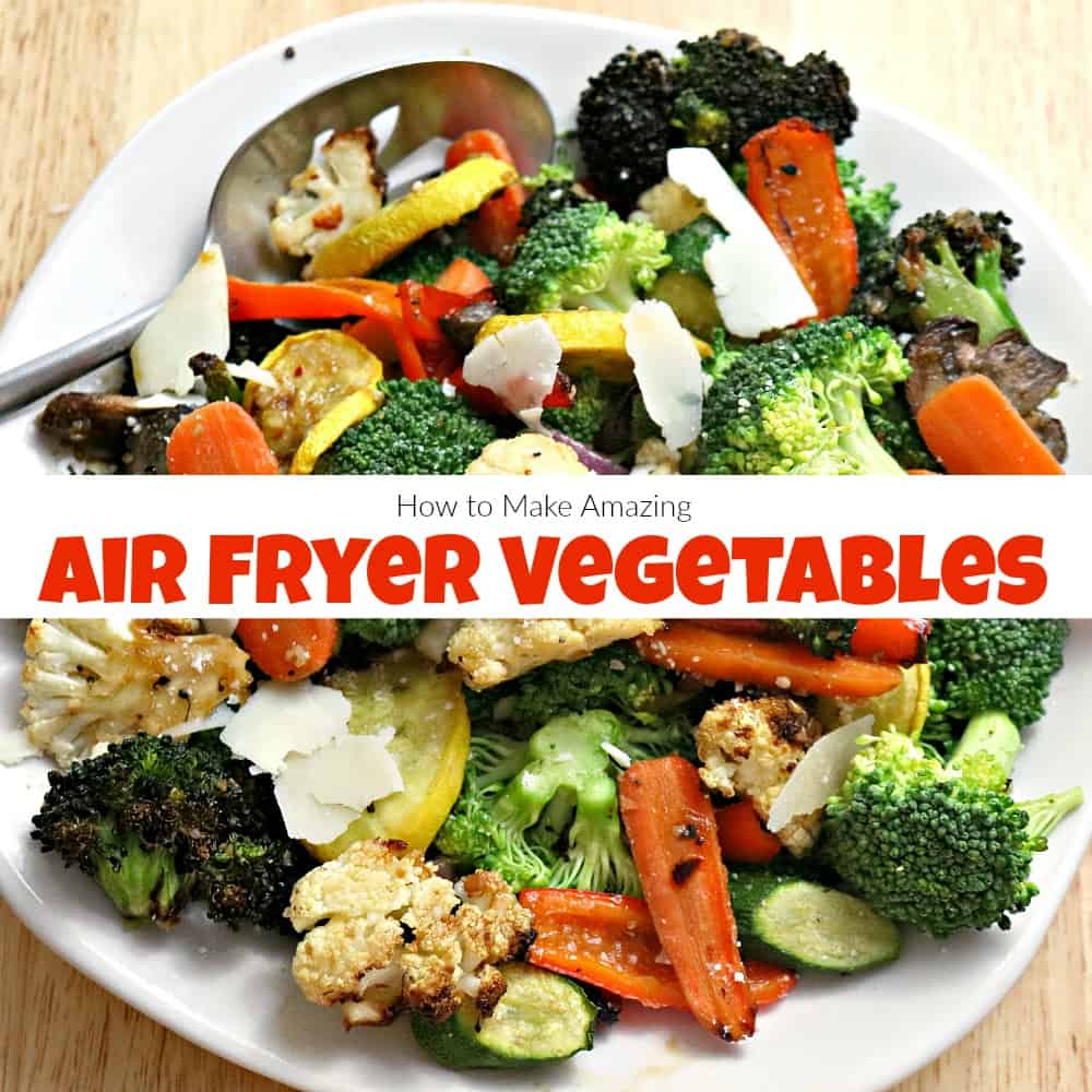 The Complete Ninja Air Fryer Max XL Cookbook: Affordable, Easy & Delicious Recipes to Keep You Devoted to A Healthier Lifestyle [Book]