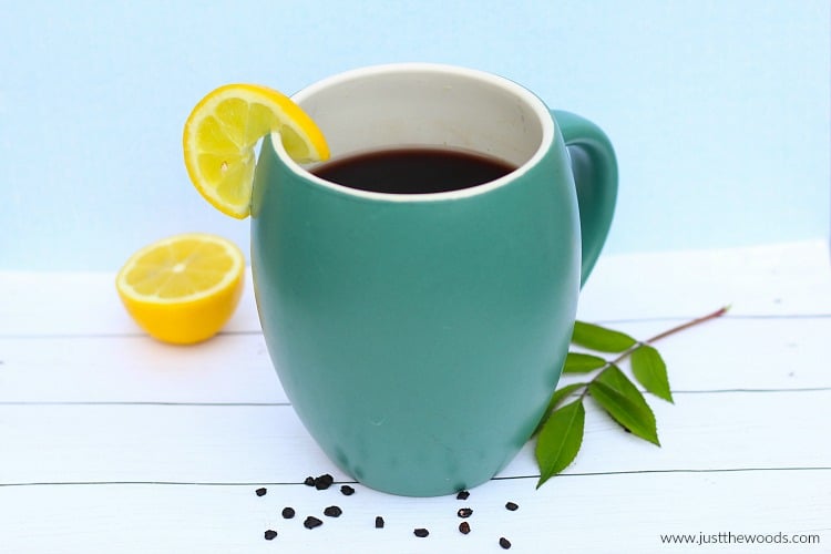 elderberry tea, how to make immunity tea, sambucus tea