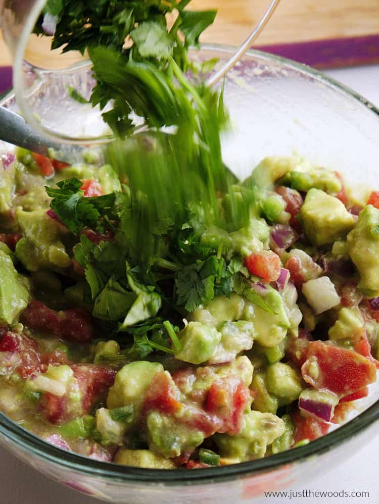 cilantro in guacamole