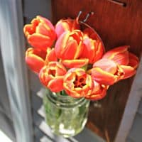 DIY Mason Jar Hanger