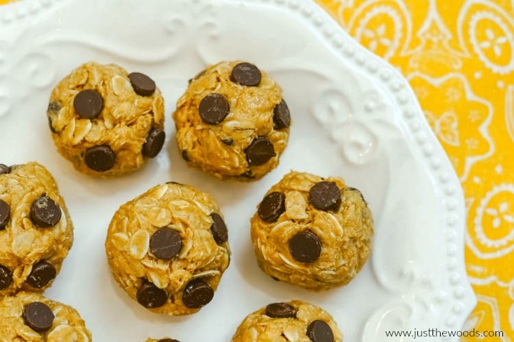 Peanut Butter Oatmeal Cookie Protein Balls - Feasting not Fasting