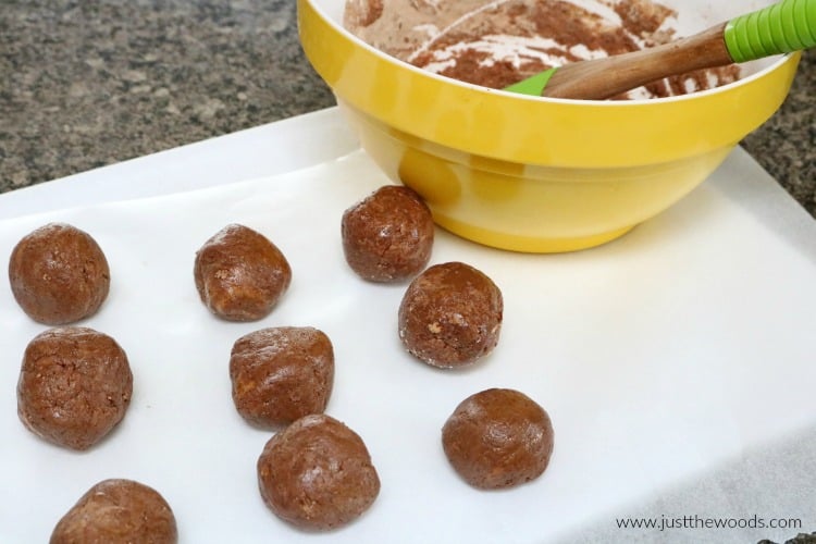 Peanut Butter Energy Balls: a Clean Eating Snack You'll Love no bake peanut butter balls, healthy peanut butter balls