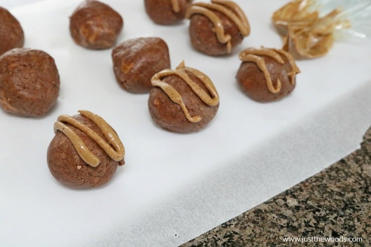 Peanut Butter Energy Balls: a Clean Eating Snack You'll Love peanut butter protein ball recipe, clean eating snacks, peanut butter snacks