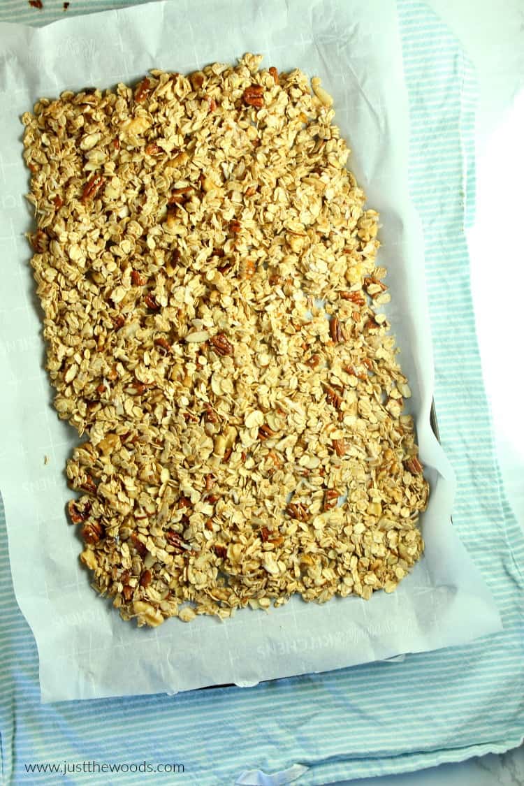 homemade granola recipe healthy