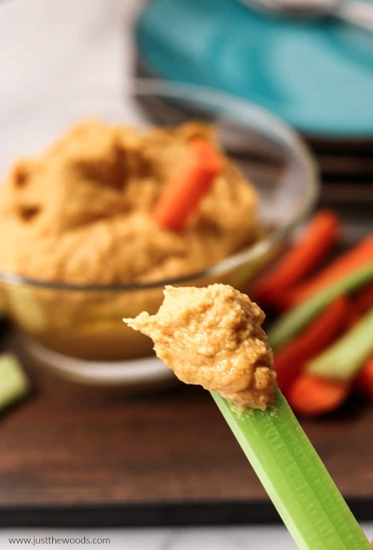 hummus with vegetables