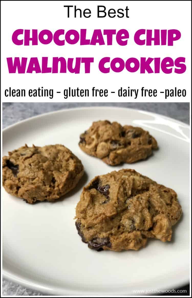 paleo chocolate chip walnut cookies