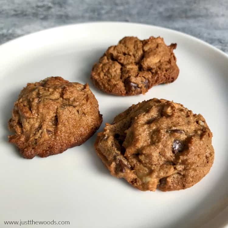 three chocolate chip walnut cookies on a plate