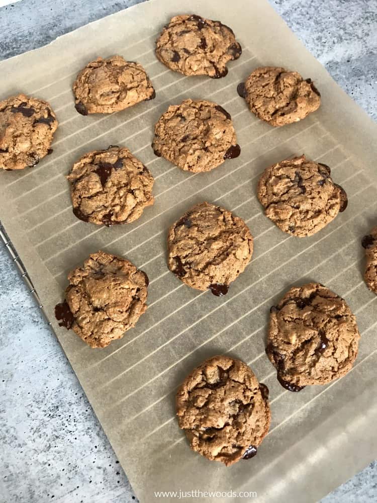 chocolate chip and walnut cookie recipe, gluten free cookies