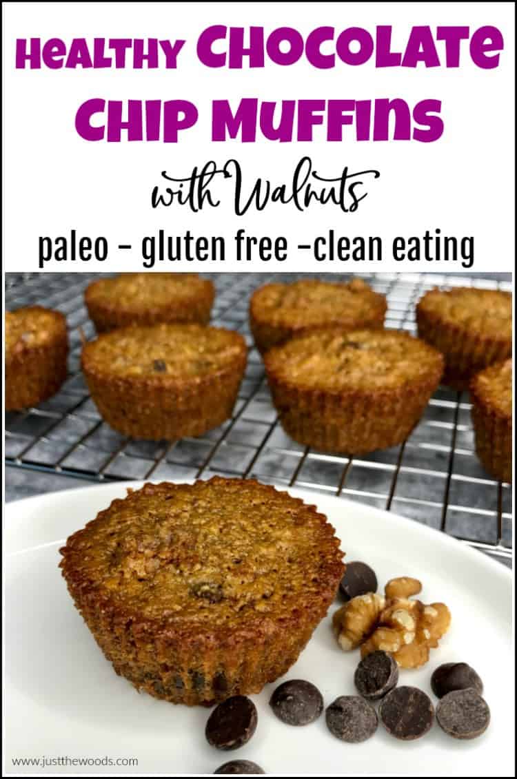 healthy chocolate chip muffins recipe