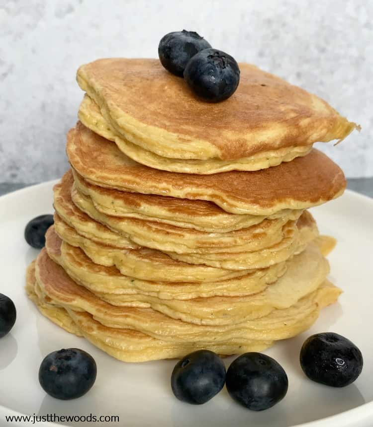 protein blueberry pancakes recipe