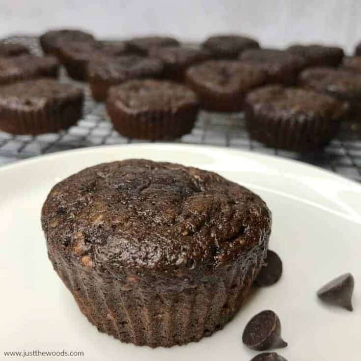 chocolate chip zucchini muffins recipe Candy and Satisfying Sugar Free Dessert Concepts