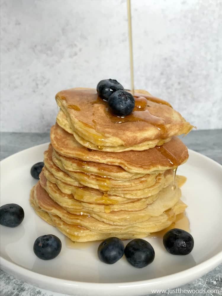 nuzest protein pancake recipe with blueberries