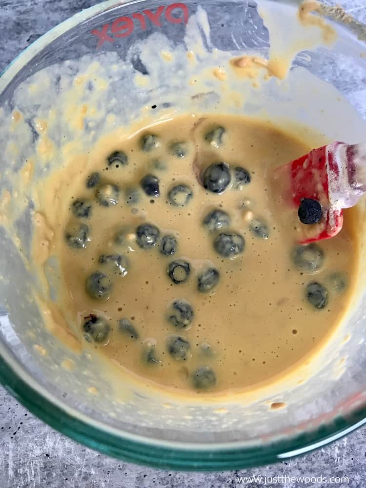 homemade blueberry pancake mix