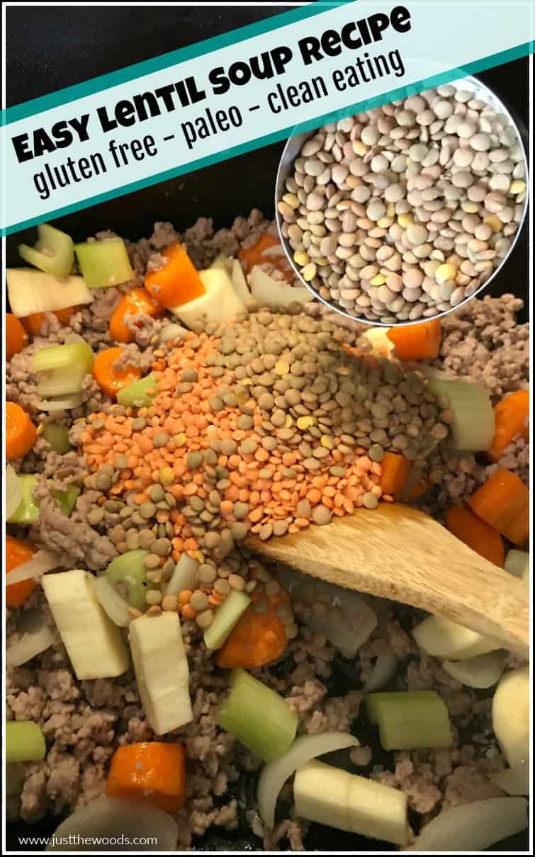 easy healthy lentil soup