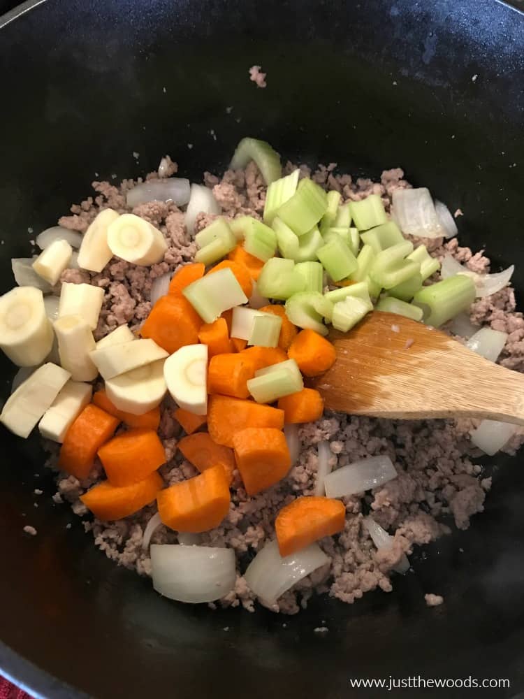 lentil soup with vegetables, carrots, celery, parsnips lentil soup