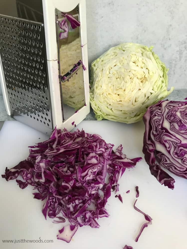 red cabbage for homemade coleslaw with slicer
