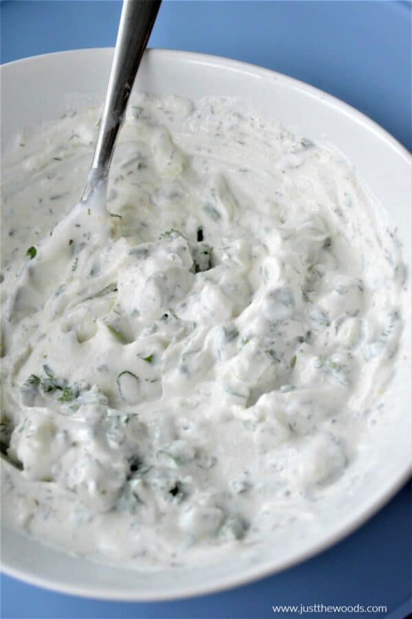 Healthy Greek Yogurt Veggie Dip Recipe