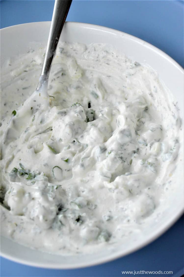 close up Greek yogurt veggie dip with herbs