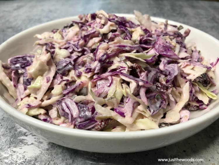 close up of homemade coleslaw recipe in bowl