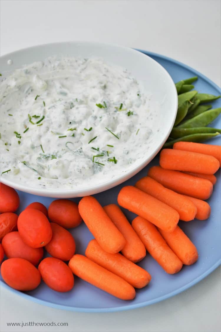 yogurt veggie dip with vegetables