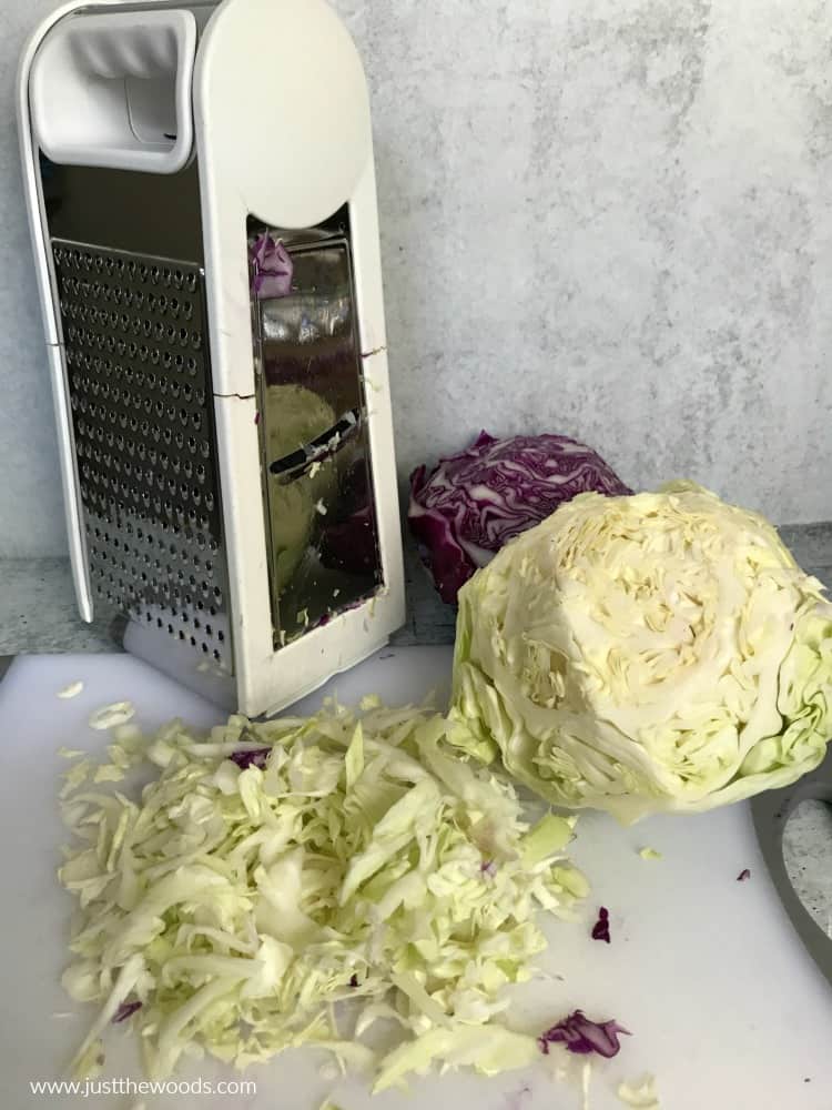 how to make homemade coleslaw, green cabbage