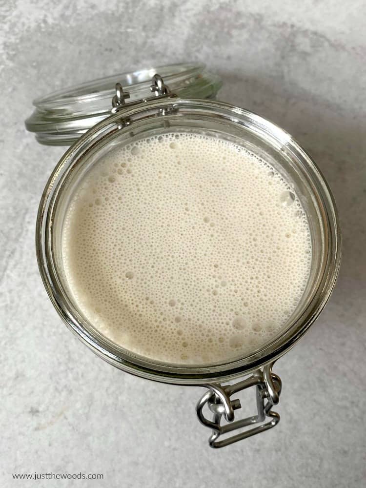 easy cashew milk recipe in air tight glass container