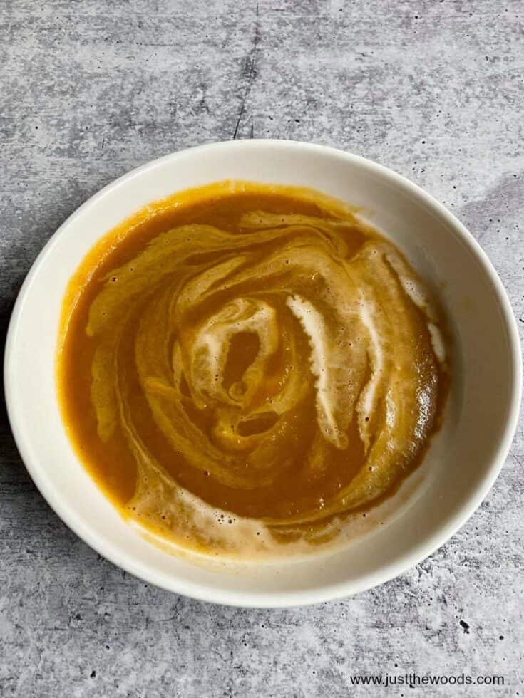 https://www.justthewoods.com/wp-content/uploads/2020/10/dairy-free-butternut-squash-soup-with-coconut-milk-vegan-735x980.jpg